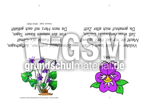Faltbuch-Veilchen-Seidel.pdf